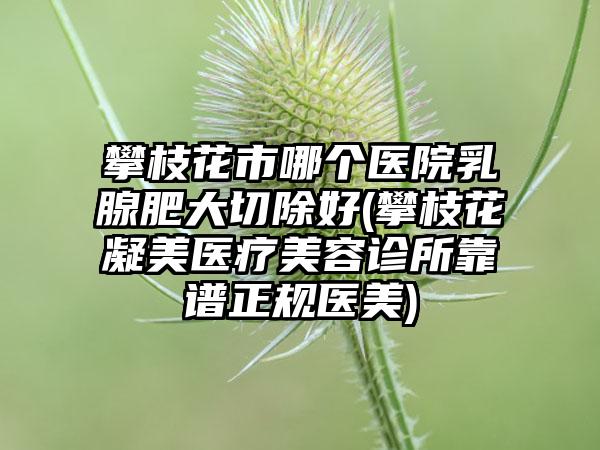 攀枝花市哪个医院乳腺肥大切除好(攀枝花凝美医疗美容诊所靠谱正规医美)