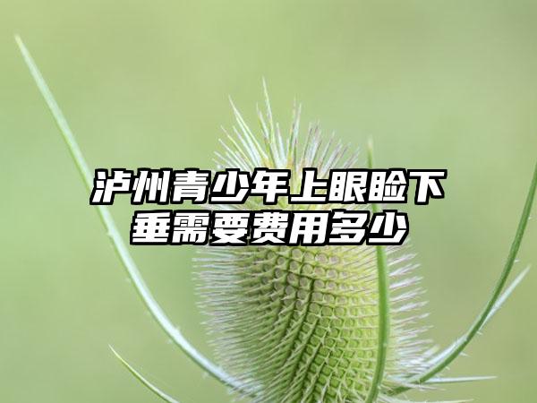 泸州青少年上眼睑下垂需要费用多少