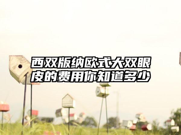 西双版纳欧式大双眼皮的费用你知道多少