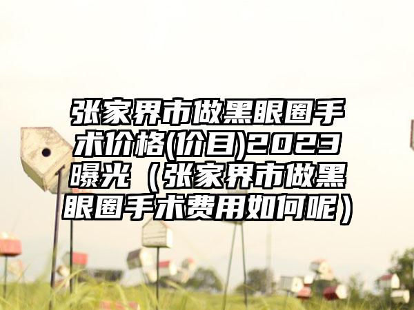 张家界市做黑眼圈手术价格(价目)2023曝光（张家界市做黑眼圈手术费用如何呢）