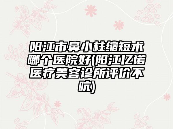 阳江市鼻小柱缩短术哪个医院好(阳江亿诺医疗美容诊所评价不吭)