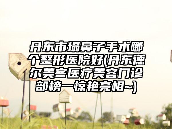 丹东市塌鼻子手术哪个整形医院好(丹东德尔美客医疗美容门诊部榜一惊艳亮相~)