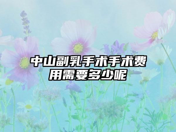 中山副乳手术手术费用需要多少呢