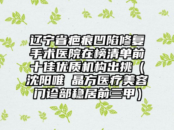 辽宁省疤痕凹陷修复手术医院在榜清单前十佳优质机构出挑（沈阳唯媄晶方医疗美容门诊部稳居前三甲）