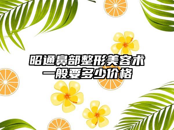 昭通鼻部整形美容术一般要多少价格