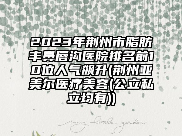 2023年荆州市脂肪丰鼻唇沟医院排名前10位人气飙升(荆州亚美尔医疗美容(公立私立均有))