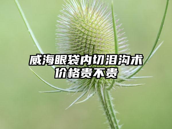 威海眼袋内切泪沟术价格贵不贵