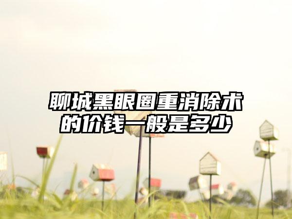 聊城黑眼圈重消除术的价钱一般是多少