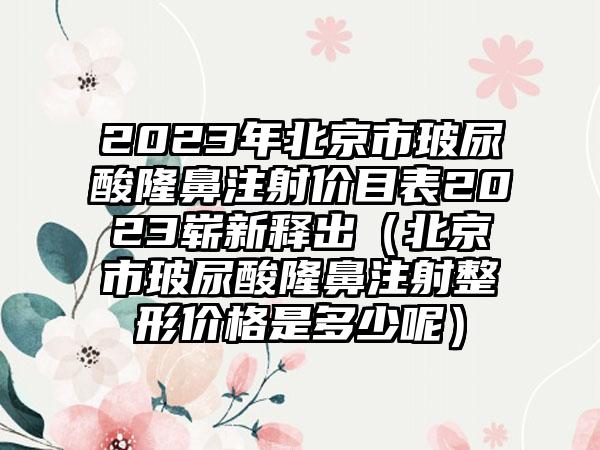 2023年北京市玻尿酸隆鼻注射价目表2023崭新释出（北京市玻尿酸隆鼻注射整形价格是多少呢）