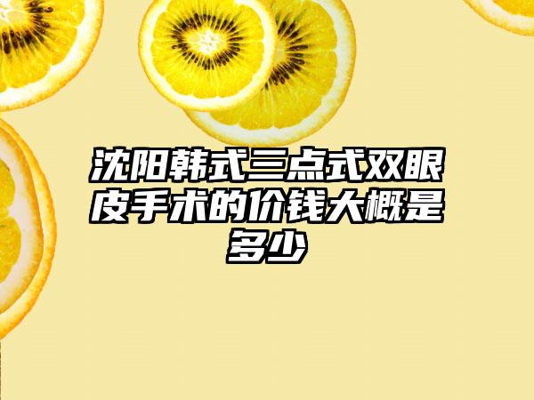 沈阳韩式三点式双眼皮手术的价钱大概是多少