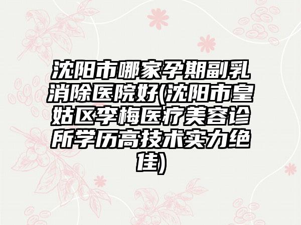 沈阳市哪家孕期副乳消除医院好(沈阳市皇姑区李梅医疗美容诊所学历高技术实力绝佳)