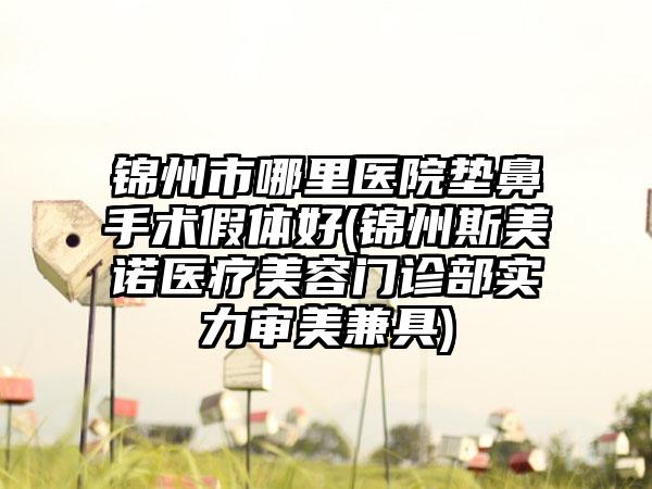 锦州市哪里医院垫鼻手术假体好(锦州斯美诺医疗美容门诊部实力审美兼具)