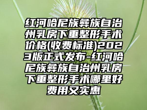 红河哈尼族彝族自治州乳房下垂整形手术价格(收费标准)2023版正式发布-红河哈尼族彝族自治州乳房下垂整形手术哪里好费用又实惠