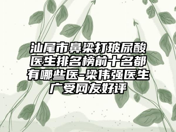 汕尾市鼻梁打玻尿酸医生排名榜前十名都有哪些医-梁伟强医生广受网友好评