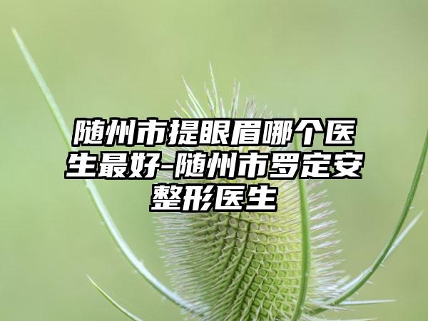 随州市提眼眉哪个医生最好-随州市罗定安整形医生