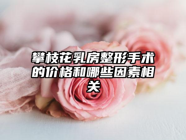 攀枝花乳房整形手术的价格和哪些因素相关