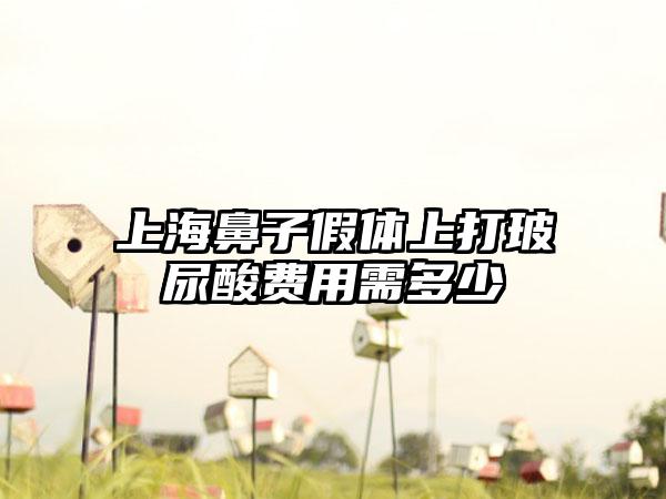 上海鼻子假体上打玻尿酸费用需多少