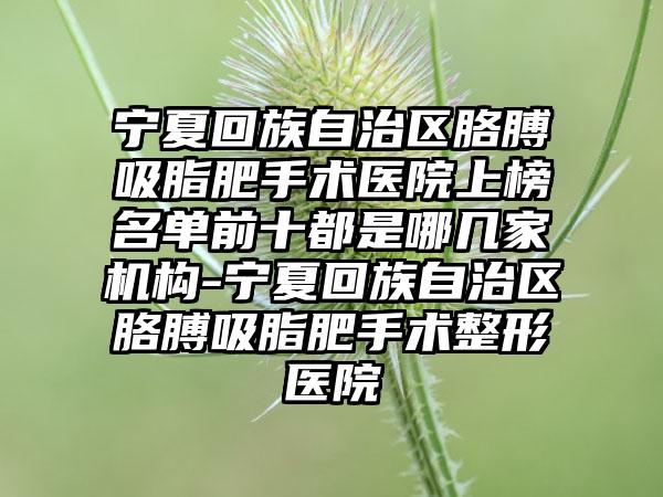 宁夏回族自治区胳膊吸脂肥手术医院上榜名单前十都是哪几家机构-宁夏回族自治区胳膊吸脂肥手术整形医院