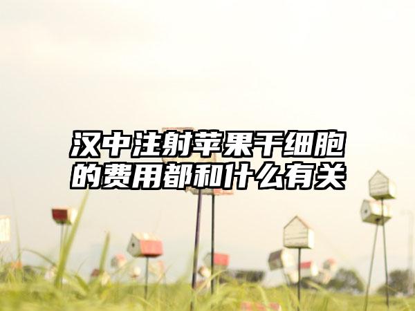 汉中注射苹果干细胞的费用都和什么有关