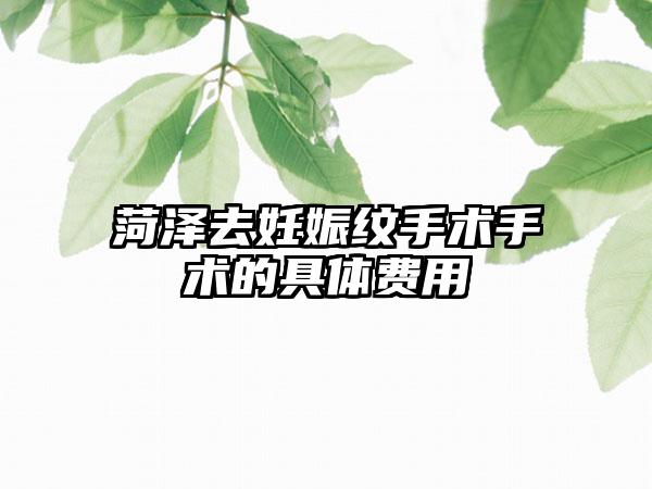 菏泽去妊娠纹手术手术的具体费用