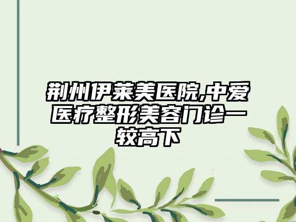 荆州伊莱美医院,中爱医疗整形美容门诊一较高下