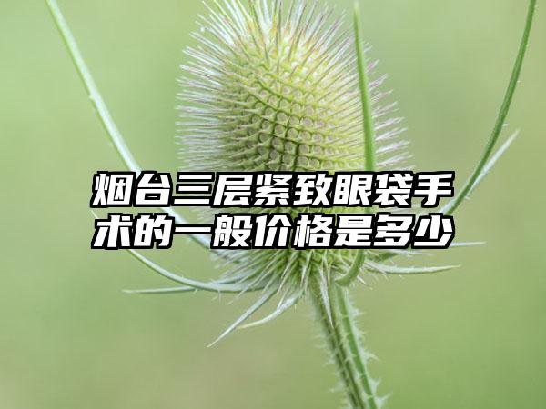 烟台三层紧致眼袋手术的一般价格是多少