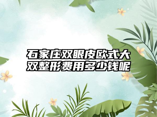 石家庄双眼皮欧式大双整形费用多少钱呢