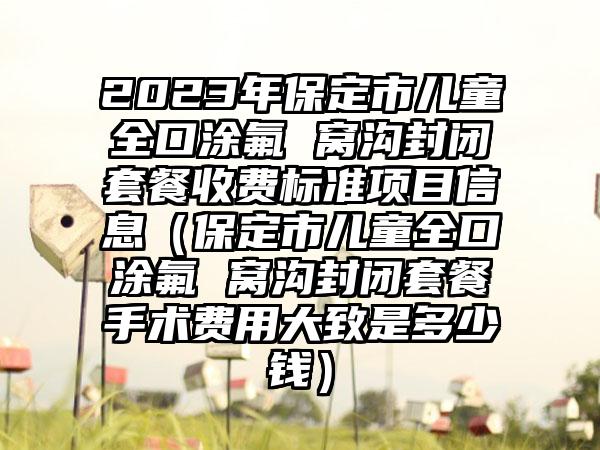 2023年保定市儿童全口涂氟 窝沟封闭套餐收费标准项目信息（保定市儿童全口涂氟 窝沟封闭套餐手术费用大致是多少钱）