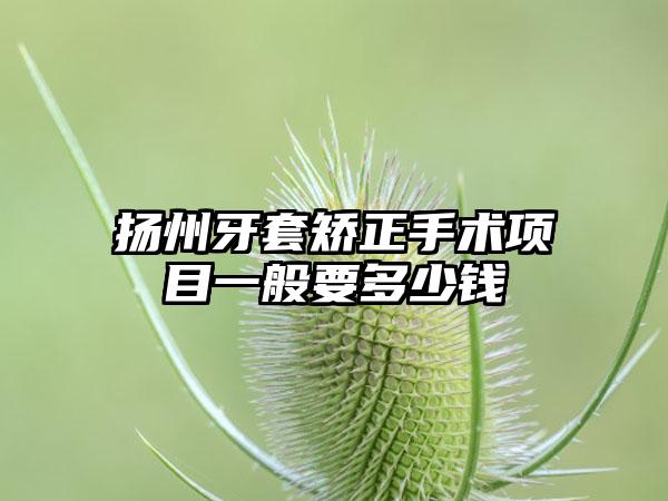 扬州牙套矫正手术项目一般要多少钱