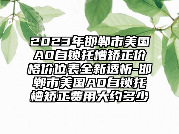 2023年邯郸市美国A0自锁托槽矫正价格价位表全新透析-邯郸市美国A0自锁托槽矫正费用大约多少