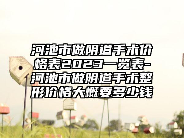 河池市做阴道手术价格表2023一览表-河池市做阴道手术整形价格大概要多少钱