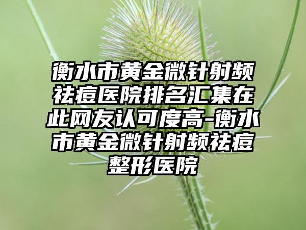 衡水市黄金微针射频祛痘医院排名汇集在此网友认可度高-衡水市黄金微针射频祛痘整形医院