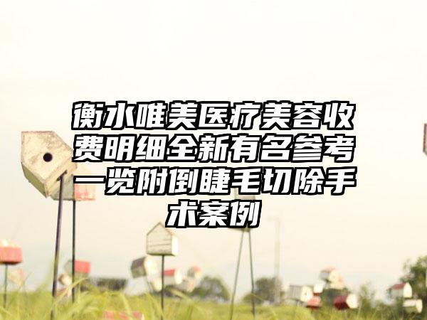 衡水唯美医疗美容收费明细全新有名参考一览附倒睫毛切除手术案例