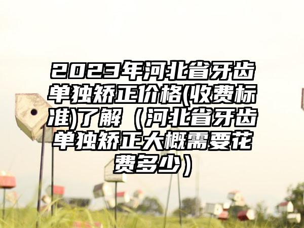 2023年河北省牙齿单独矫正价格(收费标准)了解（河北省牙齿单独矫正大概需要花费多少）