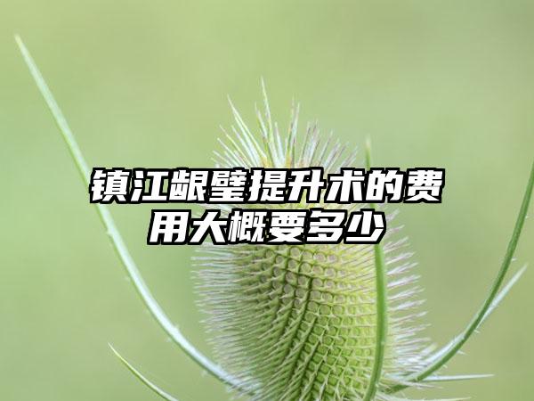 镇江龈璧提升术的费用大概要多少