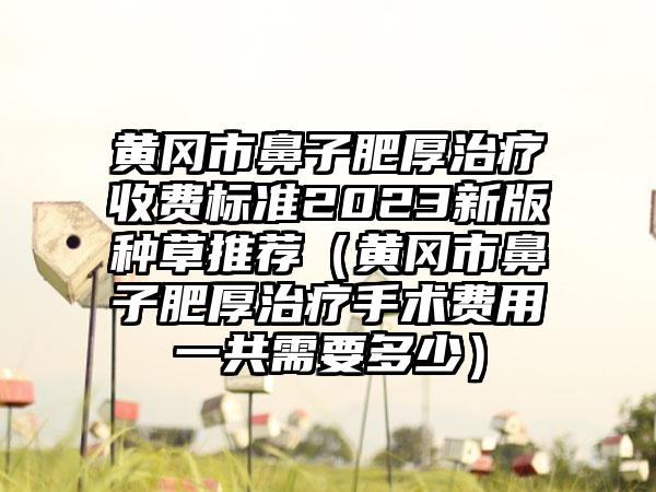 黄冈市鼻子肥厚治疗收费标准2023新版种草推荐（黄冈市鼻子肥厚治疗手术费用一共需要多少）