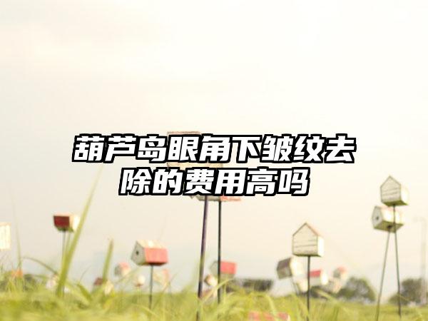 葫芦岛眼角下皱纹去除的费用高吗