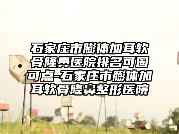 石家庄市膨体加耳软骨隆鼻医院排名可圈可点-石家庄市膨体加耳软骨隆鼻整形医院