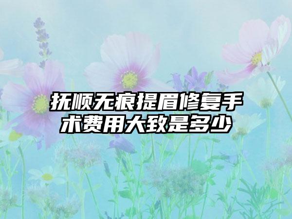 抚顺无痕提眉修复手术费用大致是多少