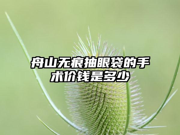 舟山无痕抽眼袋的手术价钱是多少