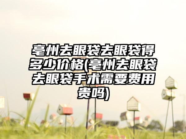 亳州去眼袋去眼袋得多少价格(亳州去眼袋去眼袋手术需要费用贵吗)