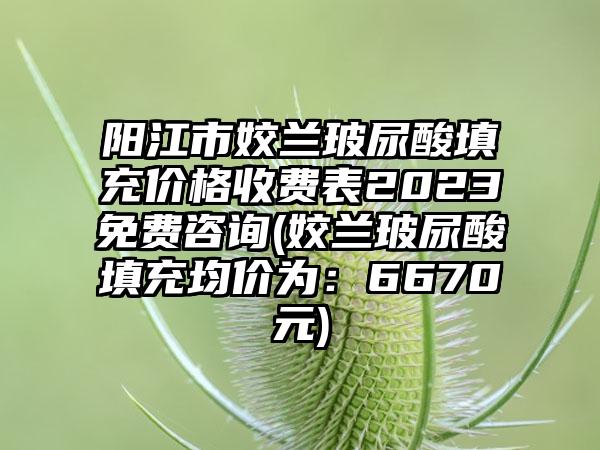 阳江市姣兰玻尿酸填充价格收费表2023免费咨询(姣兰玻尿酸填充均价为：6670元)