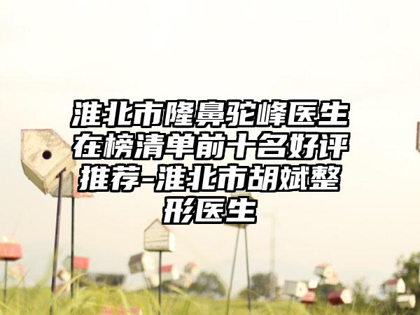 淮北市隆鼻驼峰医生在榜清单前十名好评推荐-淮北市胡斌整形医生