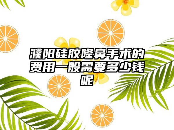 濮阳硅胶隆鼻手术的费用一般需要多少钱呢