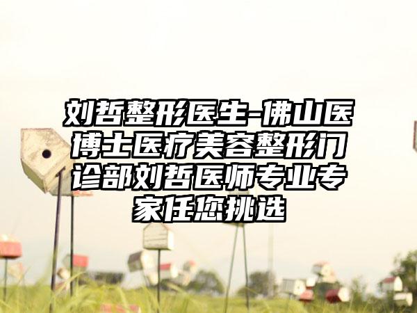 刘哲整形医生-佛山医博士医疗美容整形门诊部刘哲医师专业专家任您挑选