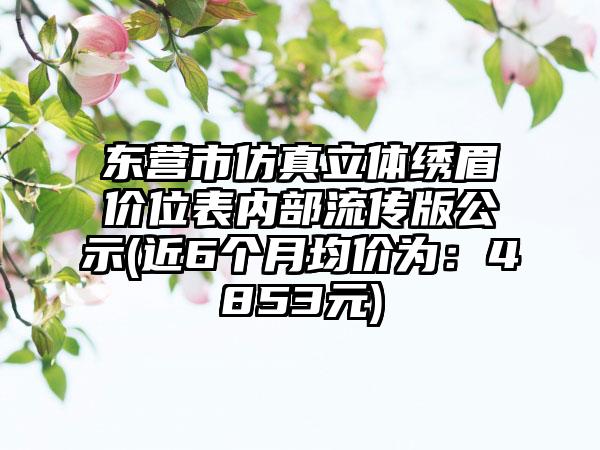 东营市仿真立体绣眉价位表内部流传版公示(近6个月均价为：4853元)