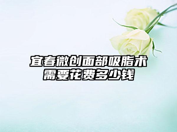 宜春微创面部吸脂术需要花费多少钱