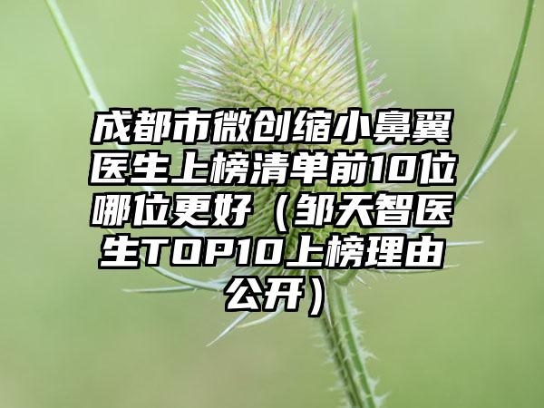 成都市微创缩小鼻翼医生上榜清单前10位哪位更好（邹天智医生TOP10上榜理由公开）