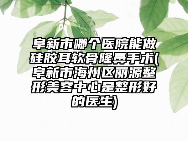 阜新市哪个医院能做硅胶耳软骨隆鼻手术(阜新市海州区丽源整形美容中心是整形好的医生)