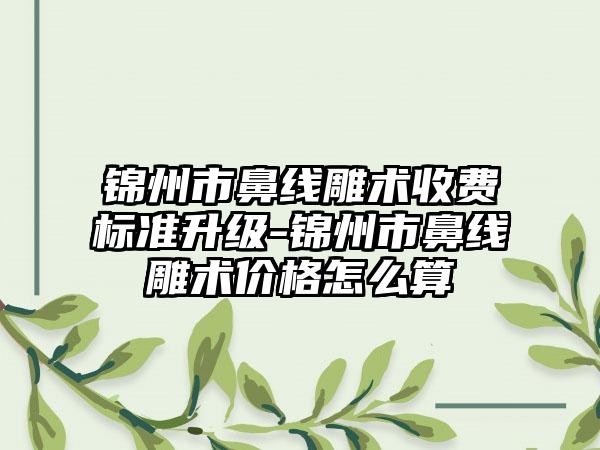 锦州市鼻线雕术收费标准升级-锦州市鼻线雕术价格怎么算